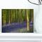Designart - Bluebell Woods in Oxfordshire - Landscape Canvas Art Print